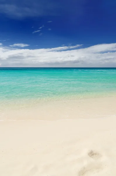 白い砂浜 — ストック写真