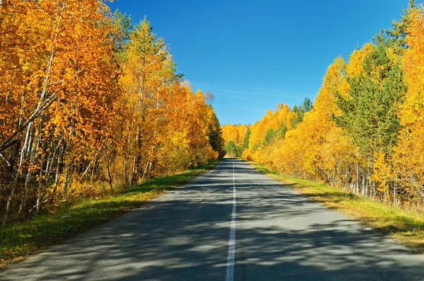 Осенняя дорога . — стоковое фото