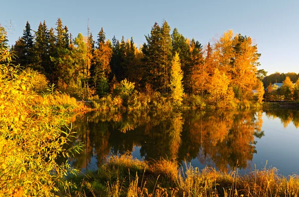 Осенний пейзаж. — стоковое фото