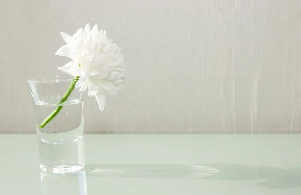 Flor en vidrio — Foto de Stock