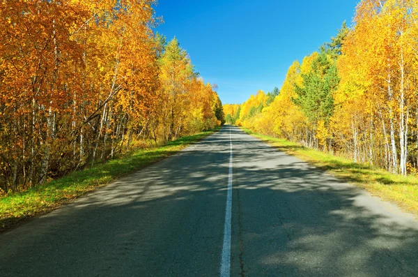 Осенняя дорога . — стоковое фото