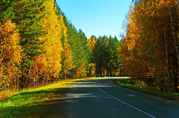 Estrada de outono . — Fotografia de Stock