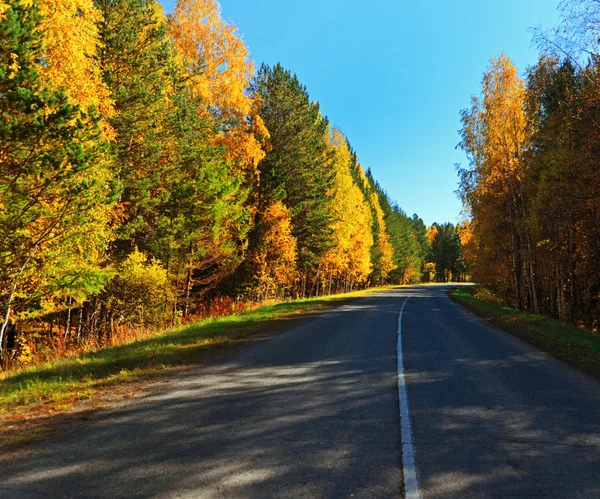Estrada de outono . — Fotografia de Stock