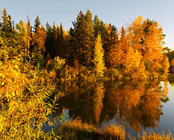 Осенний пейзаж. — стоковое фото