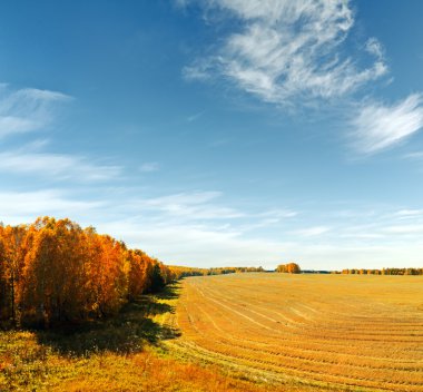 Sonbahar manzarası