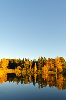 göl