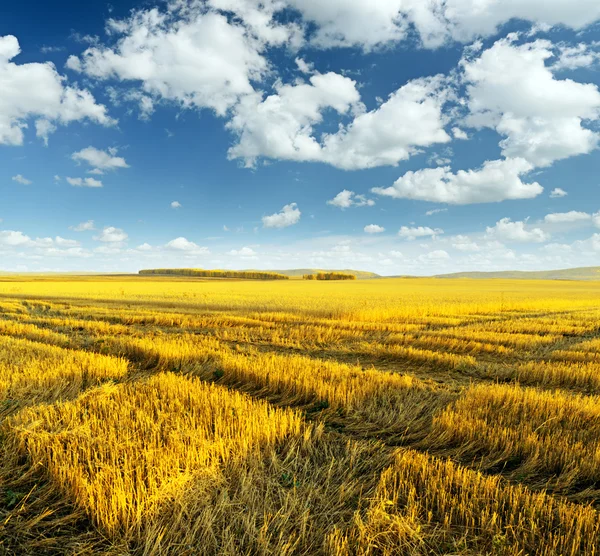 Podzimní krajina — Stock fotografie