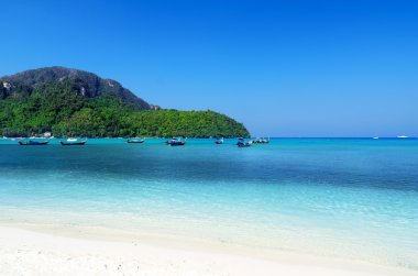 Phi phi Adası