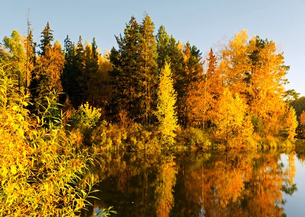 Podzimní krajina. — Stock fotografie