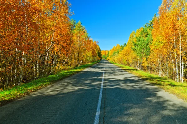 Höstens road. — Stockfoto