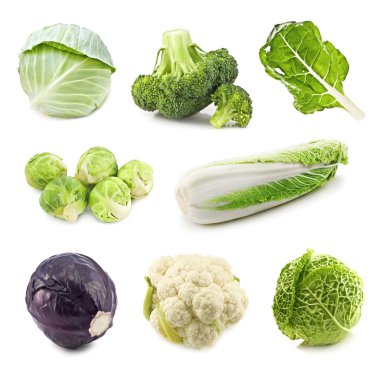 Cabbages clipart