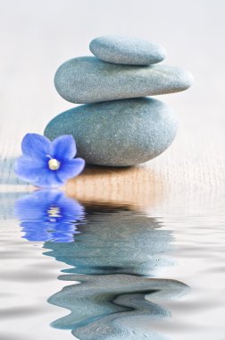 Spa stone and flower closeup clipart