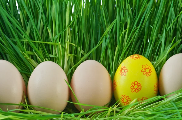 Yellow egg in green grass — Stock Photo, Image