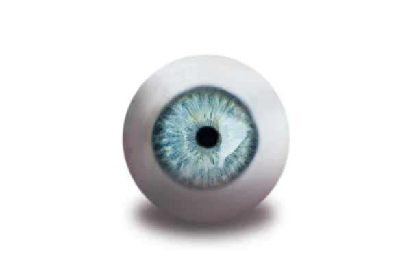 Lidské oko izolované na bílém — Stock fotografie
