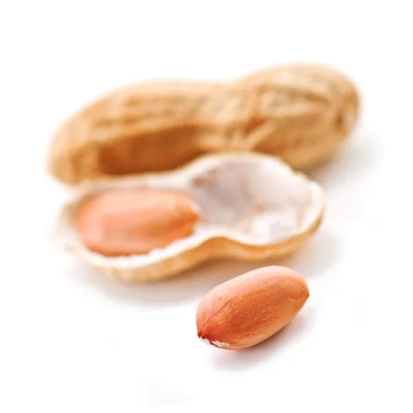 Amendoim — Fotografia de Stock