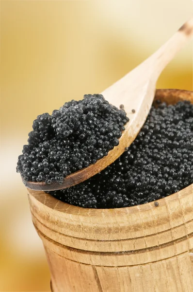 Caviar de —  Fotos de Stock