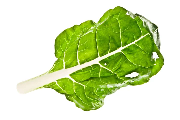Bok choy leaf isolated on white — Stock Photo, Image