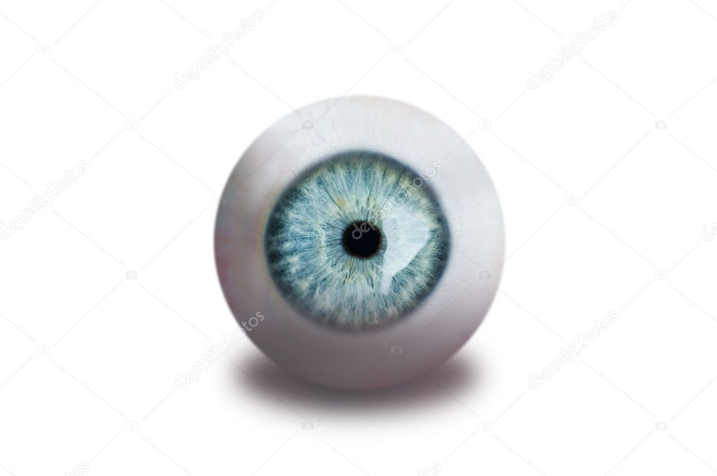 Human eye isolated on white