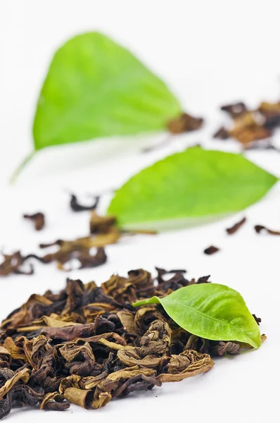 Зеленый чай изолирован на белом — стоковое фото