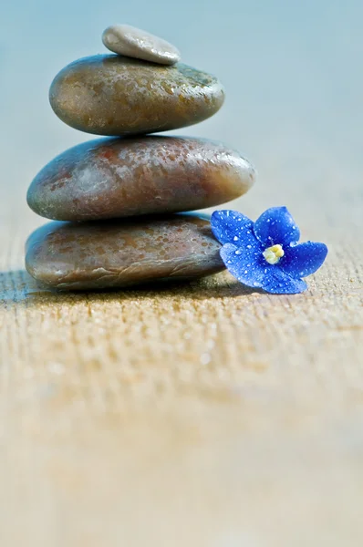 Concepto de spa con piedra y flor — Foto de Stock