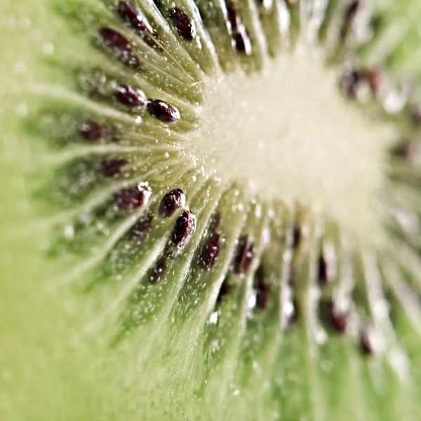 stock image Kiwi