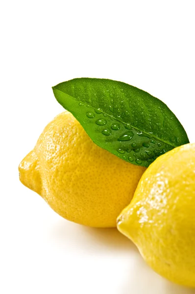 Lemon — Stock Photo, Image