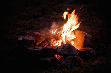 Camping fire clipart