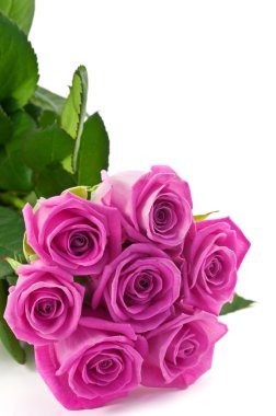 Pink roses clipart