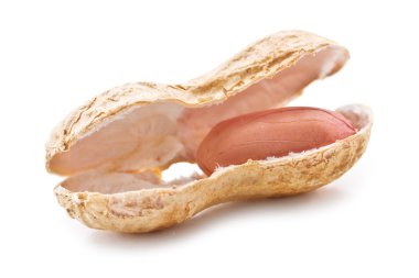 Fıstık