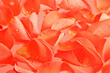 Petals clipart