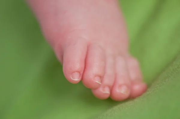 Neugeborenes Bein — Stockfoto