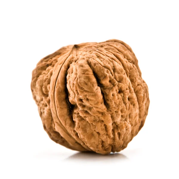 Орех — стоковое фото