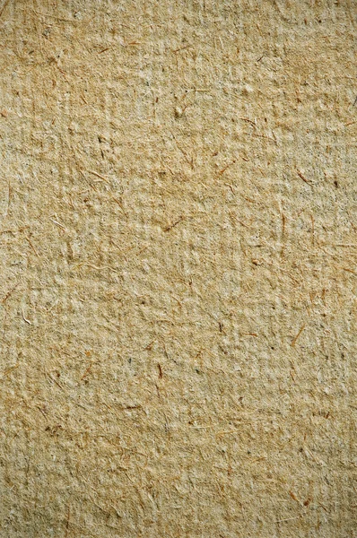 Papiro — Foto Stock