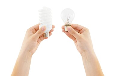 Bulb clipart