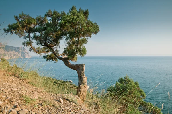 Meer, Baum- und Berglandschaft — Stockfoto