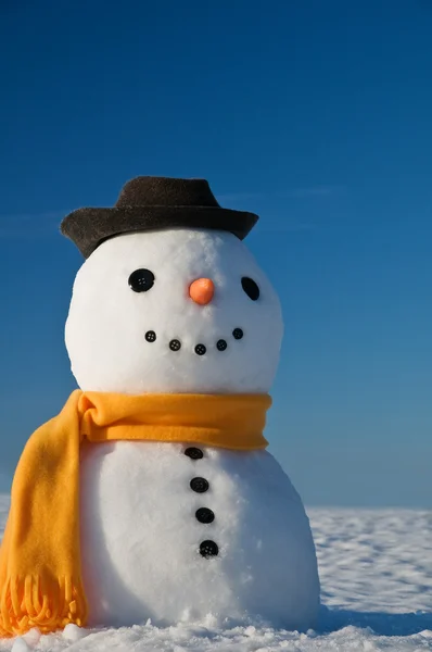 Hombre de nieve —  Fotos de Stock