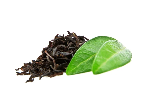 Chá preto com folha — Fotografia de Stock