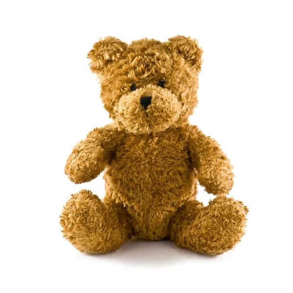 Teddy... — Fotografia de Stock