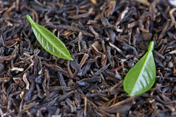 Μαύρο τσάι με φύλλα closeup — Φωτογραφία Αρχείου