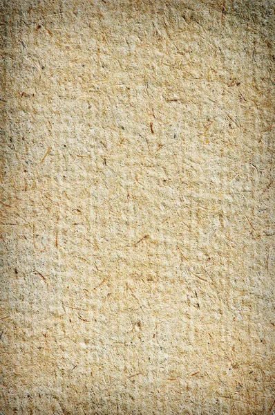 Papirüs — Stok fotoğraf