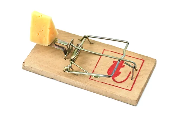 Mousetrap — Stock Photo, Image
