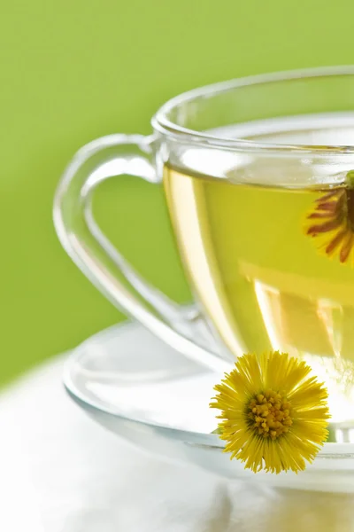 Květinový čaj pohár zblízka — Stock fotografie