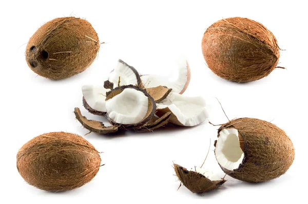 Cinco coco no fundo branco — Fotografia de Stock