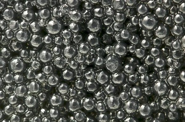 Caviar — Fotografia de Stock