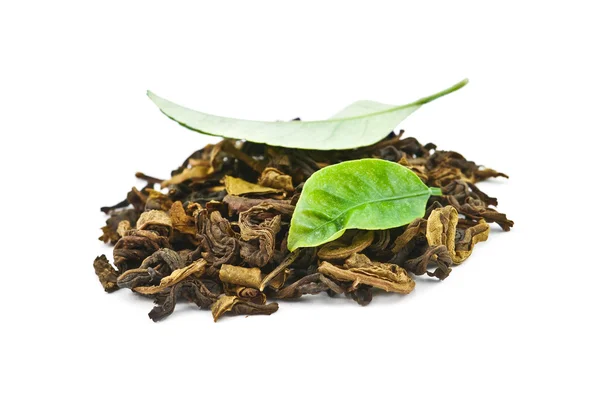 Grönt te med blad — Stockfoto