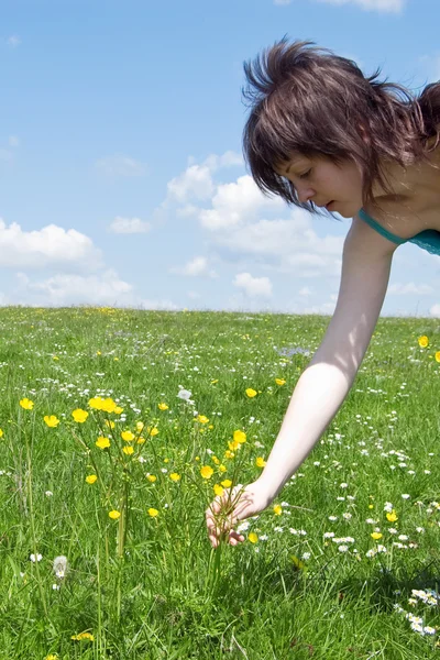 Girl collect flower on meadow — Stock Photo, Image