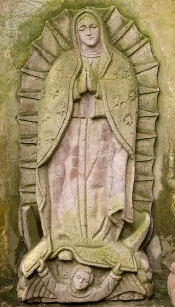 Dziewica guadalupe kamienia — Zdjęcie stockowe