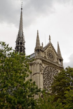 Notre dame Katedrali geri görüntülemek