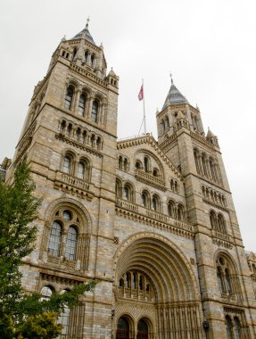 Doğal Tarih Müzesi Londra