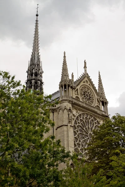 Catedrala Notre Dame Înapoi Vedeți — Fotografie, imagine de stoc